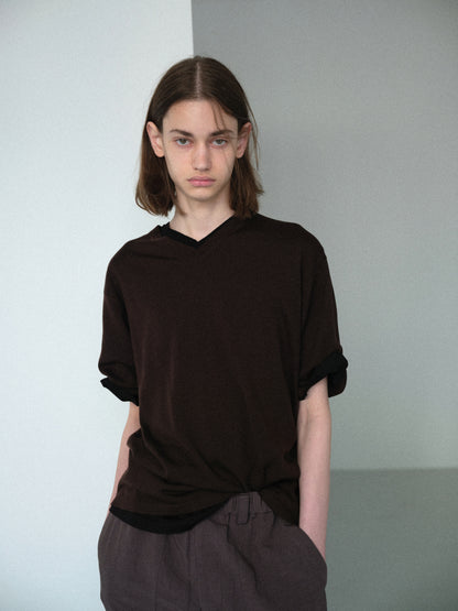 Biella Yarn V-Neck T-Shirt (Brown)