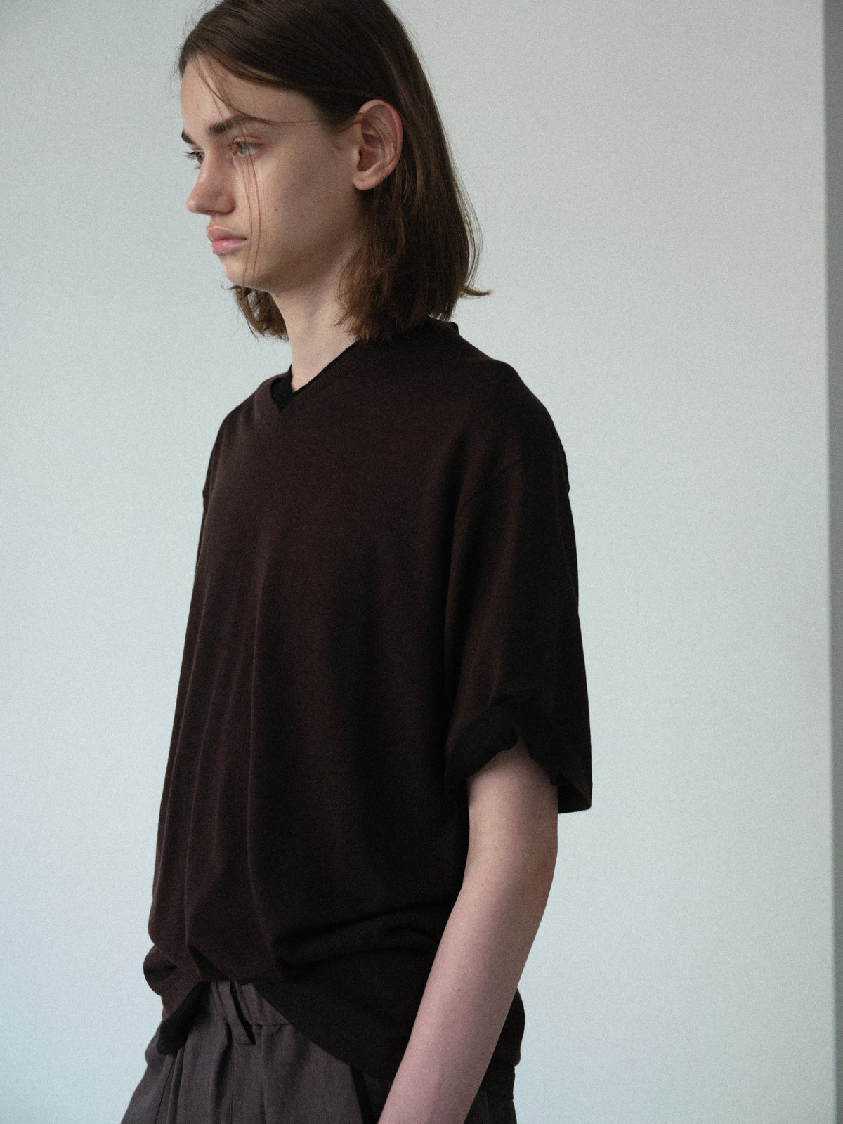 Biella Yarn V-Neck T-Shirt (Brown)