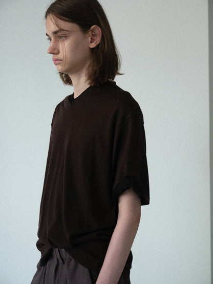 Biella Yarn V-Neck T-Shirt (Brown)