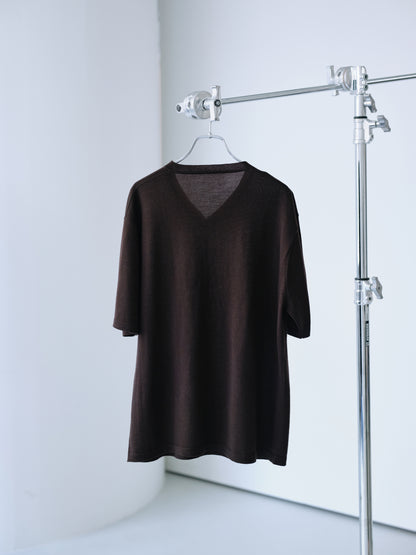 Biella Yarn V-Neck T-Shirt (Brown)
