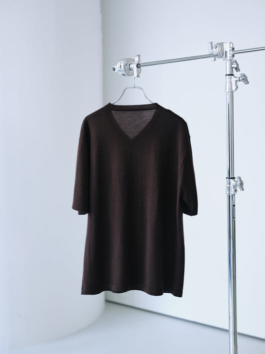 Biella Yarn V-Neck T-Shirt (Brown)
