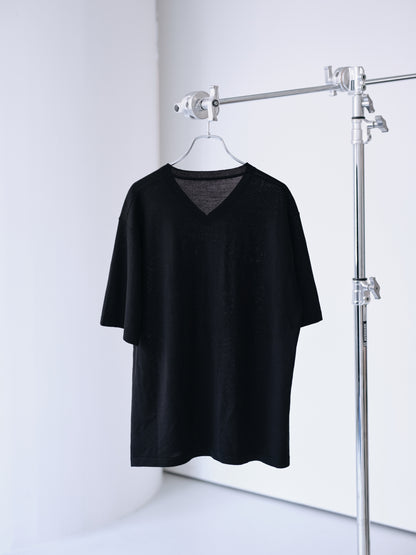 Biella Yarn V-Neck T-Shirt (Black)